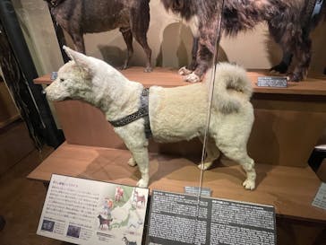 国立科学博物館に投稿された画像（2025/10/7）