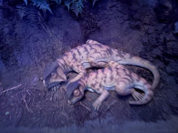 北九州市立自然史・歴史博物館（いのちのたび博物館）に投稿された画像（2025/10/7）