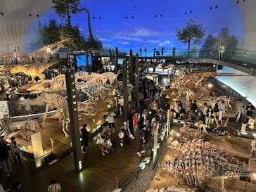 福井県立恐竜博物館に投稿された画像（2025/10/7）