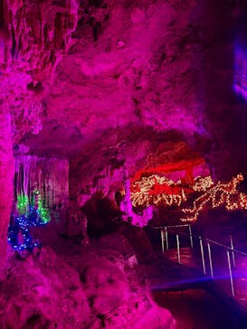 石垣島鍾乳洞に投稿された画像（2025/10/7）