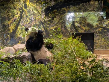 恩賜上野動物園に投稿された画像（2025/10/7）