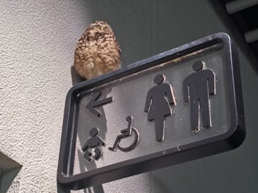 NIFREL（ニフレル）に投稿された画像（2025/10/7）