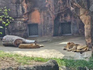天王寺動物園に投稿された画像（2025/10/7）