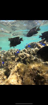 武藤潜水に投稿された画像（2025/10/7）