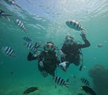 青の洞窟専門店　沖縄ダイビングショップ和に投稿された画像（2025/10/7）