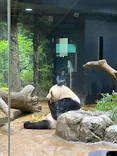 恩賜上野動物園に投稿された画像（2025/10/7）