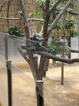 名古屋市東山動植物園に投稿された画像（2025/10/7）