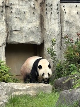 恩賜上野動物園に投稿された画像（2025/10/7）