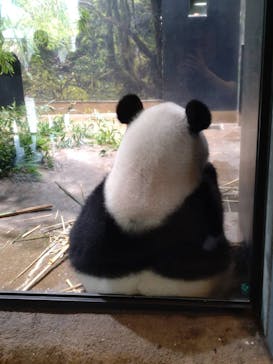 恩賜上野動物園に投稿された画像（2025/10/7）