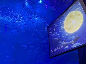 アクアワールド茨城県大洗水族館に投稿された画像（2025/10/7）