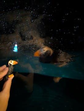 アクアワールド茨城県大洗水族館に投稿された画像（2025/10/7）