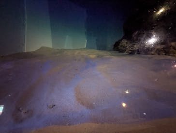 アクアワールド茨城県大洗水族館に投稿された画像（2025/10/7）