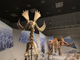 特別展「氷河期展 〜人類が見た4万年前の世界〜」（国立科学博物館）に投稿された画像（2025/10/7）