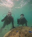 沖縄マリンサービス碧に投稿された画像（2025/10/7）