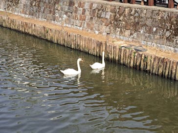 小江戸さわら 舟めぐりに投稿された画像（2025/10/7）