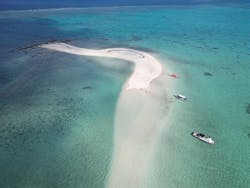 シメラギに投稿された画像（2025/10/7）