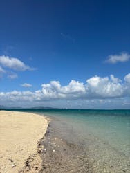 シメラギに投稿された画像（2025/10/7）