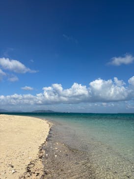 シメラギに投稿された画像（2025/10/7）