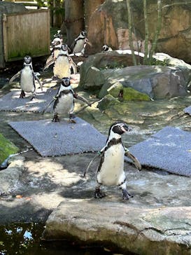 那須どうぶつ王国に投稿された画像（2025/10/7）