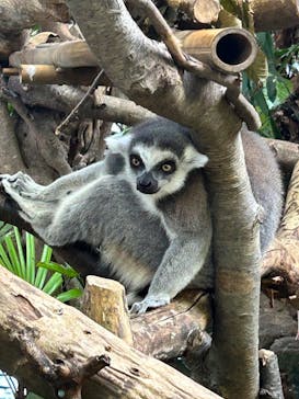 那須どうぶつ王国に投稿された画像（2025/10/7）