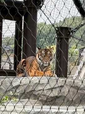 名古屋市東山動植物園に投稿された画像（2025/10/7）