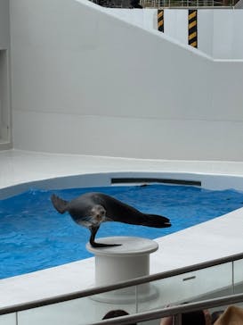 鴨川シーワールドに投稿された画像（2025/10/7）