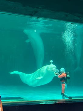 鴨川シーワールドに投稿された画像（2025/10/7）