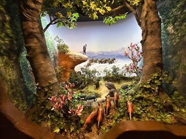 海洋堂ホビーランドに投稿された画像（2025/10/7）