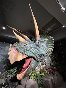 海洋堂ホビーランドに投稿された画像（2025/10/7）