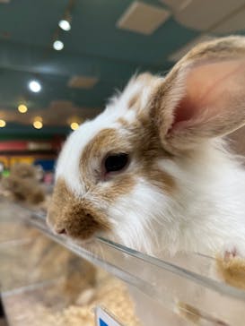 いきもの探検隊上尾に投稿された画像（2025/9/22）