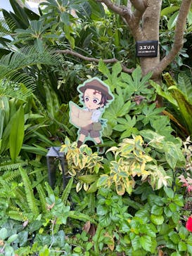 サンシャイン水族館に投稿された画像（2025/10/7）