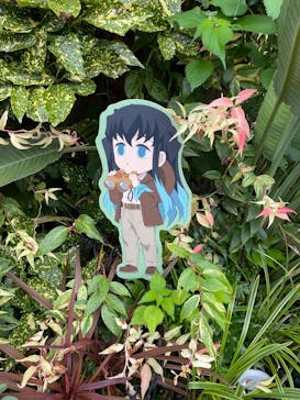 サンシャイン水族館に投稿された画像（2025/10/7）