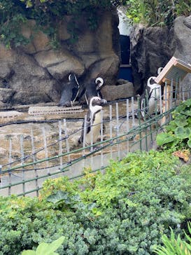 サンシャイン水族館に投稿された画像（2025/10/7）