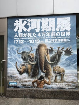 特別展「氷河期展 〜人類が見た4万年前の世界〜」（国立科学博物館）に投稿された画像（2025/10/7）