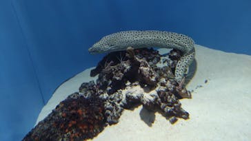 葛西臨海水族園に投稿された画像（2025/10/7）