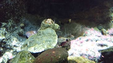 葛西臨海水族園に投稿された画像（2025/10/7）