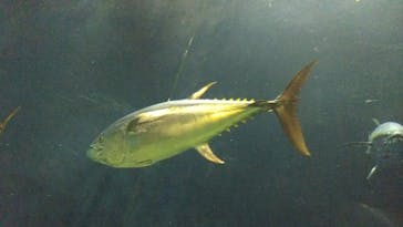 葛西臨海水族園に投稿された画像（2025/10/7）