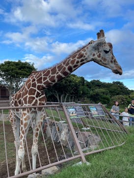 伊豆シャボテン動物公園に投稿された画像（2025/10/7）