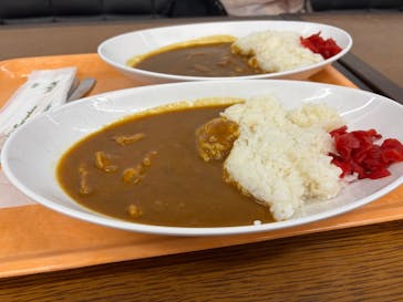 特別展「氷河期展 〜人類が見た4万年前の世界〜」（国立科学博物館）に投稿された画像（2025/10/7）