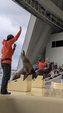 マリンワールド海の中道に投稿された画像（2025/10/7）