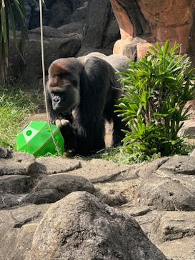 千葉市動物公園に投稿された画像（2025/10/7）