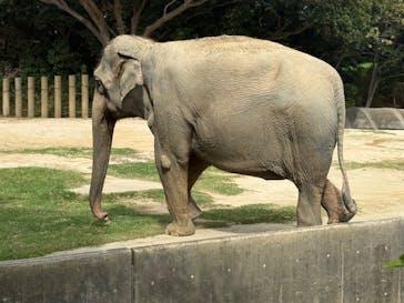 千葉市動物公園に投稿された画像（2025/10/7）
