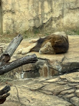 千葉市動物公園に投稿された画像（2025/10/7）