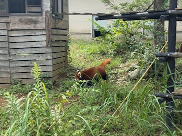 千葉市動物公園に投稿された画像（2025/10/7）