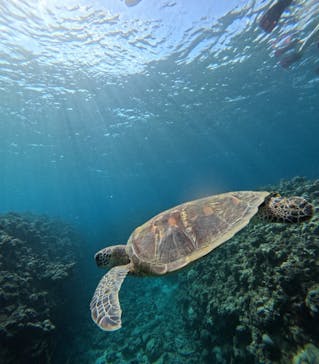  マリンショップHAPPYに投稿された画像（2025/10/7）