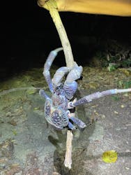 OCEAN LIFE 宮古島に投稿された画像（2025/10/7）