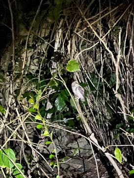 OCEAN LIFE 宮古島に投稿された画像（2025/10/7）