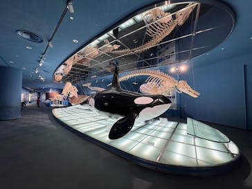 名古屋港水族館に投稿された画像（2025/10/7）