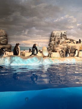 名古屋港水族館に投稿された画像（2025/10/7）