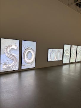 金沢21世紀美術館に投稿された画像（2025/10/7）